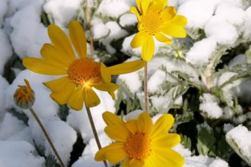 Погода на 21 января 2020 года