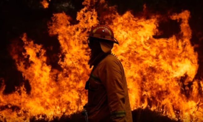 Пожары в Австралии, скриншот YouTube