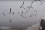 Погода в Одессе на субботу. Фото: скриншот YouTUbe