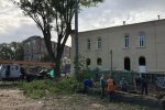 От былой красоты и следа не осталось: в Киеве увлеклись реконструкцией, остались одни пеньки