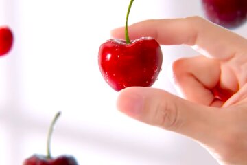 Вишня, черешня. Фото: YouTube