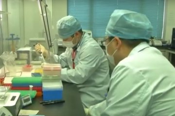 Коронавирус в Китае, скриншот YouTube