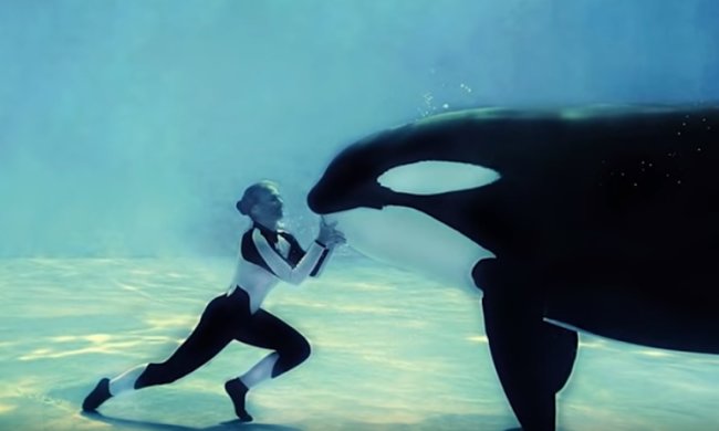 Праздники 19 февраля 2020 года