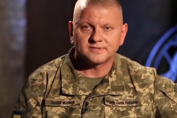 Валерій Залужний. Фото: YouTube скрін