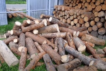 Дрова. Фото: скріншот YouTube-відео