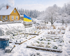 Що городникам та дачникам потрібно зробити у січні 2026 року. Фото: ШІ