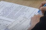 Заявление на субсидию. Фото: скриншот YouTube-видео