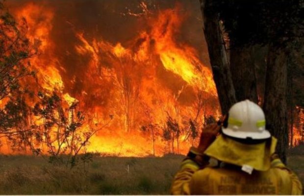 Пожар в Австралии, фото: ru.euronews.com