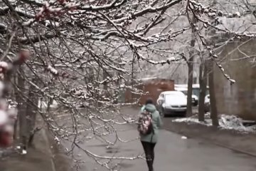 Синоптики предупредили о заморозках и снегопадах в Украине. Фото: скриншот YouTube