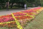 Погода в Украине летом. Фото: скриншот YouTube-видео