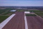 Рынок земли. Фото: скриншот Youtube-видео