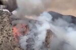 Пламя охватило тысячи гектаров леса: тысячи жизней под угрозой, спасатели работают на износ (видео)