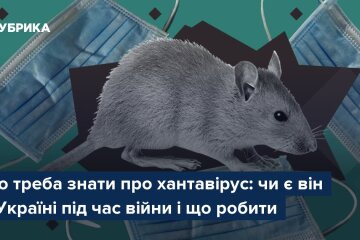Хантавірус — вірус, що переноситься гризунами