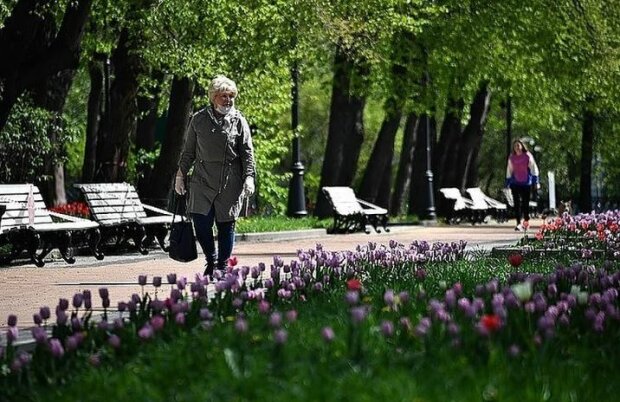 Предлагают бесплатную помощь на улице: в Киеве псевдоволонтеры устроили охоту на пенсионеров
