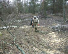 В Госэкоинспекции рассказали, сколько экологических нарушений выявили за прошедшую неделю