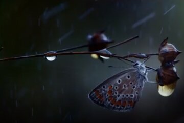 Погода на 18 июня 2020 года