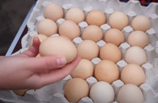 Яйца. Фото: скриншот YouTube-видео
