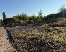 Власні обов'язки під тиском виконавчої служби: як у Житомирі боролися зі стихійним звалищем