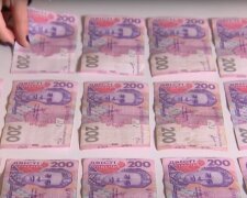 Украинская национальная валюта. Фото: скриншот Youtube