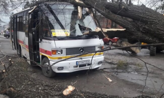 Непогода в Украине. Фото: скриншот YouTube-видео