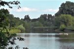 Природа. Фото: скріншот відео YouTube