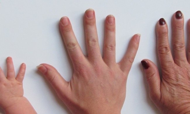 Простые продукты помогут поддерживать в хорошем состоянии ногти и волосы