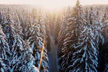 Природа. Фото: скриншот YouTube-видео