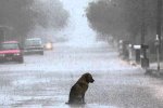 Названо самое сильное натуральное успокаивающее: теперь вам плевать на стрессы