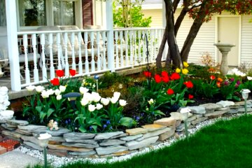 Клумба. Фото: YouTube