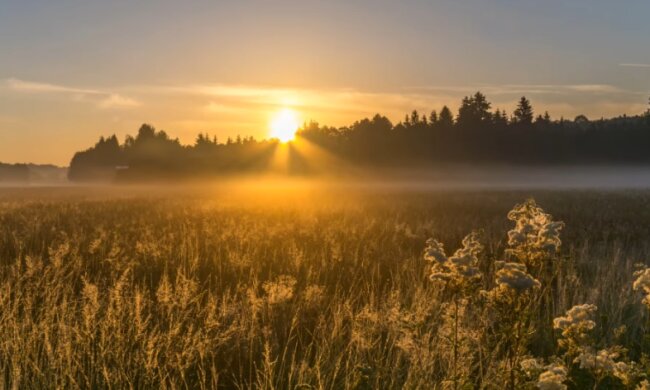 Синоптики срочно предупредили о погоде. Фото: youtube