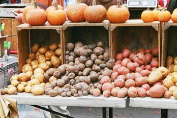 Не только картошка и виноград: Киев открывает осенние ярмарки, что можно купить
