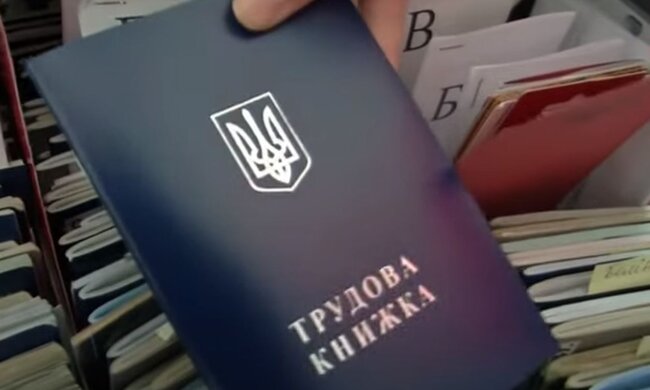 Трудовая книжка. Фото: скриншот YouTube-видео