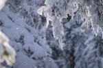 Погода в Украине. Фото: YouTube, скрин