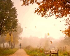 Климатологи предупредили об аномальной осени. Фото: YouTube