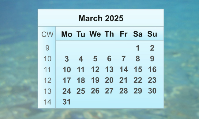 Скільки вихідних буде в українців у березні 2025 року. Фото: YouTube