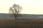 Земля. Фото: скриншот YouTube-видео