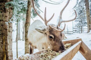 От -20 до нуля: Диденко сказала, когда зима начнет отступать - прогноз на 15 января