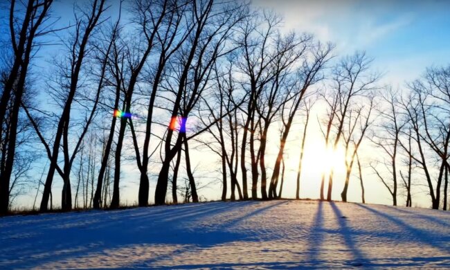 Природа. Фото: YouTube, скрін