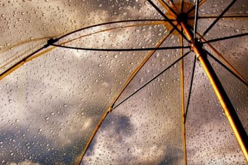 Погода на 27 февраля 2020 года