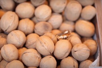 Горіх. Фото: YouTube, скрін