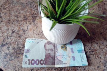Тисяча від Зеленського: коли 2025 року розпочнуться нові виплати. Фото: СТІНА