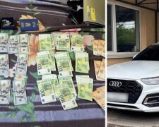 Обыски у должностных лиц ВЛК: операция Эскулап, Нацполиция