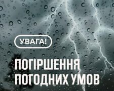 Ветер будет ломать деревья и собачий холод: синоптик Диденко предупредила, теплая не будет – погода на завтра, 1 июля