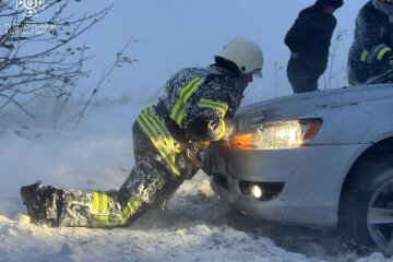 Снігопад. Фото: Стіна