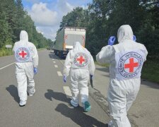 Украина в слезах домой вернулись тела 1000 Героев - подробности. Фото: Телеграм