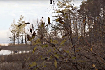 Погода в Украине. Фото: скриншот YouTube-видео.