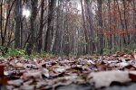 Погода в Украине. Фото: скриншот Youtube-видео