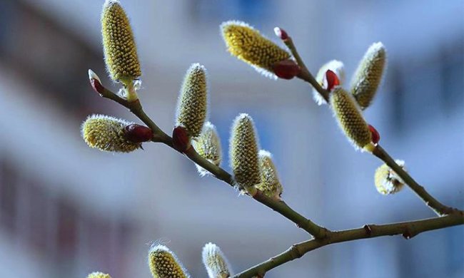 Погода в Украине. Фото: Известия