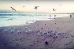 Одесса отключения. Фото: скриншот YouTUbe