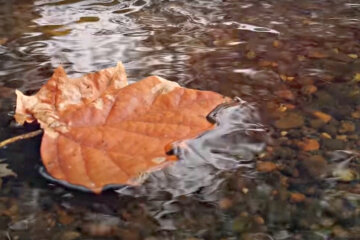Погода в Україні. Фото: скріншот YouTube-відео.